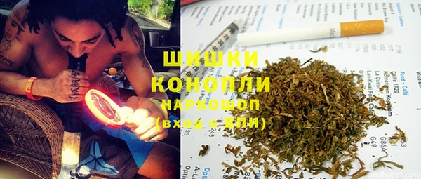 шишки Абинск