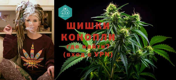 шишки Абинск