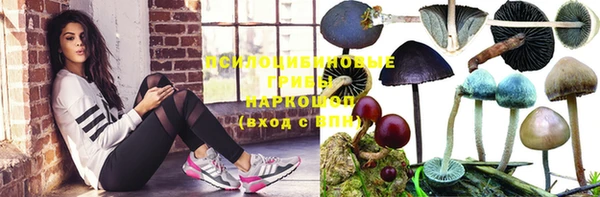 дурь Абаза